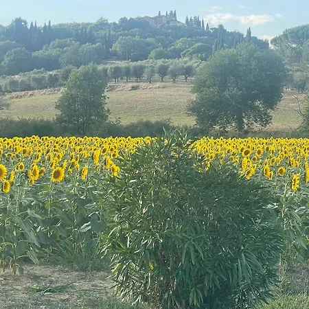 Dimora Medievale Lucolena Apartamento Lucolena in Chianti